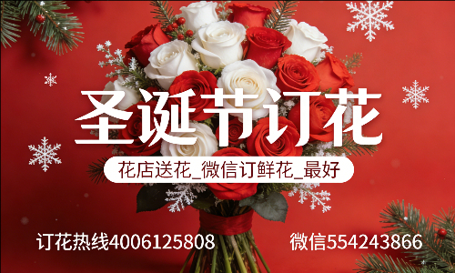 天津河北区花店送花_微信订鲜花_圣诞节订花_最好? 天津河北区花店